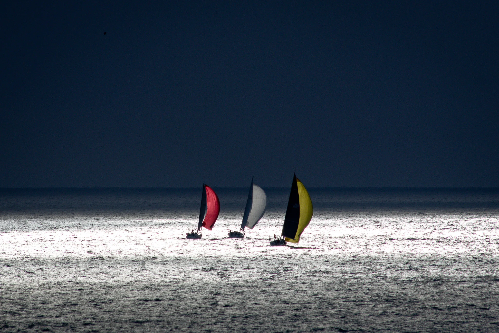 Voiles en suspension - Antibes